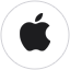 Newton logo